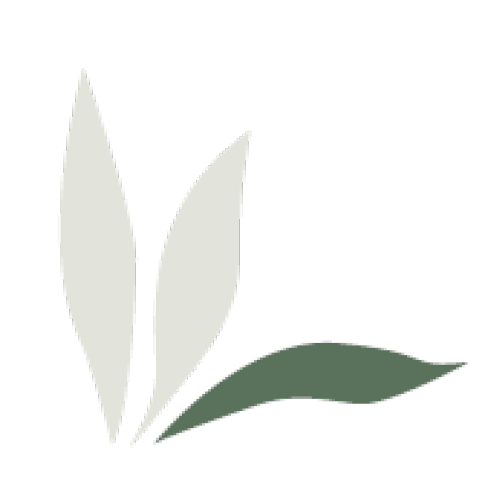 Logo Wr. Neustadt zugeschnitten