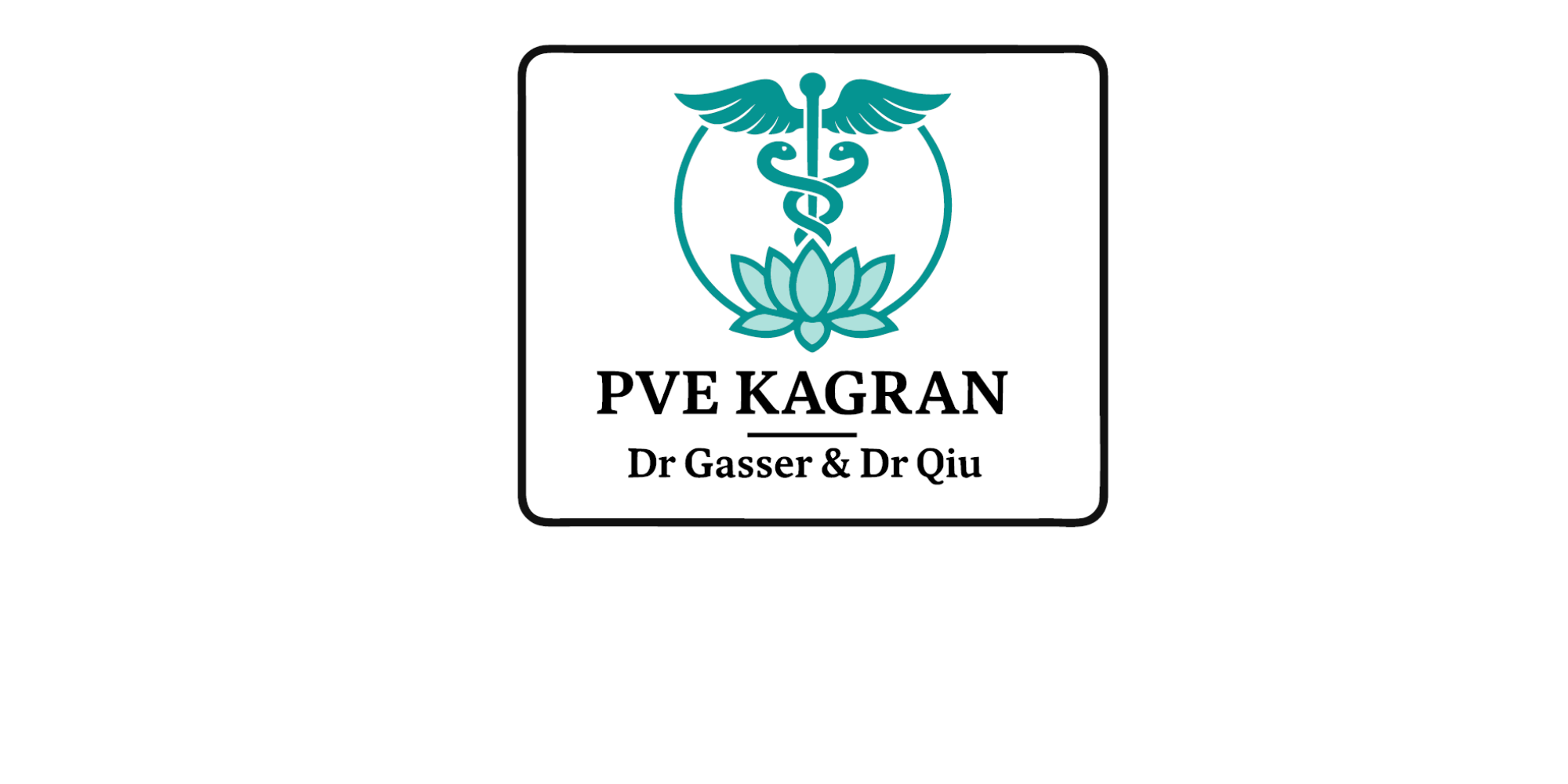 Logo PVE Kagran