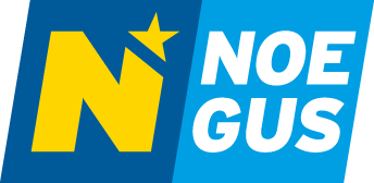 Logo Nögus